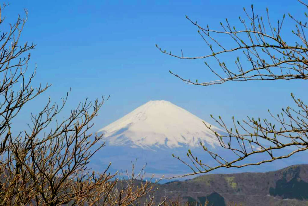 Japan-News: Fuji-san